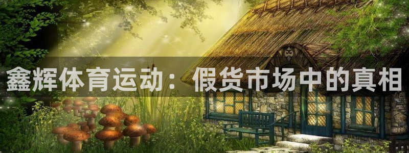 球速体育welcome登录：鑫辉体育运动：假货市场中的真相