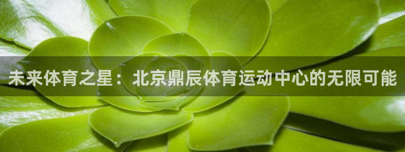 球速体育APP下载：未来体育之星：北京鼎辰体育运动中心的无限可能