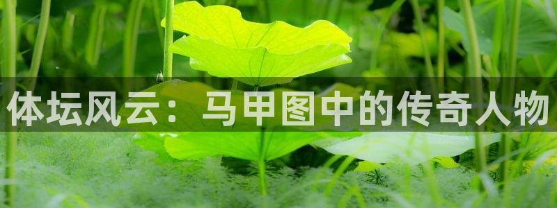 球速体育网址：体坛风云：马甲图中的传奇人物