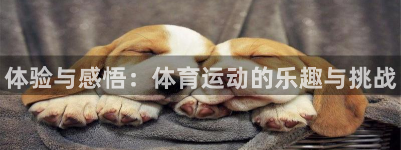 球速体育哪个更好：体验与感悟：体育运动的乐趣与挑战