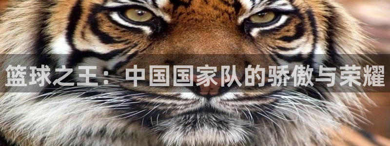 球速体育平台手动登录788 tw：篮球之王：中国国家队的骄傲与荣耀