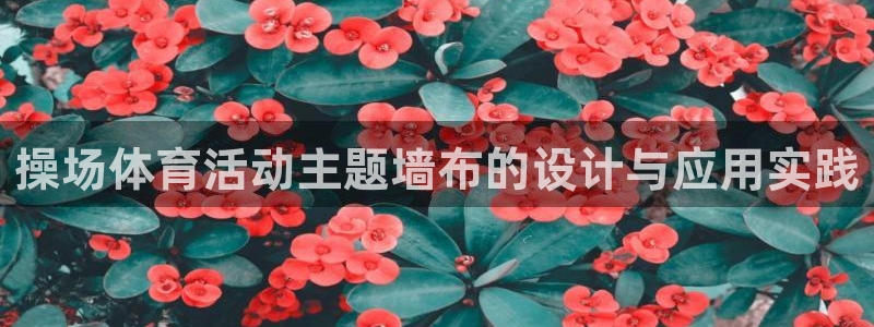 球速体育任小聊id：操场体育活动主题墙布的设计与应用实践