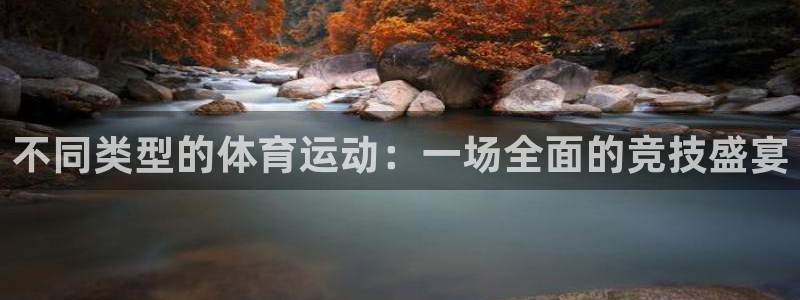 球速体育可以提款吗：不同类型的体育运动：一场全面的竞技盛宴
