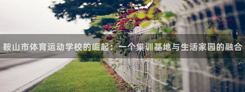 球速体育快人一步：鞍山市体育运动学校的崛起：一个集训基地与生活家园的融合