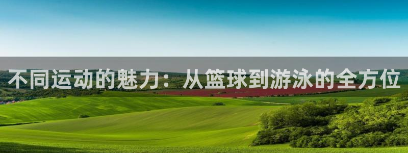 球速体育app(填写)a955 org：不同运动的魅力：从篮球到游泳的全方位