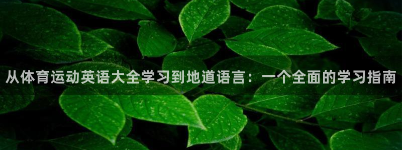 球速体育pg：从体育运动英语大全学习到地道语言：一个全面的学习指南