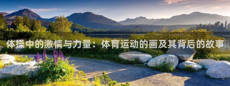 球速体育网页版登录入口：体操中的激情与力量：体育运动的画及其背后的故事