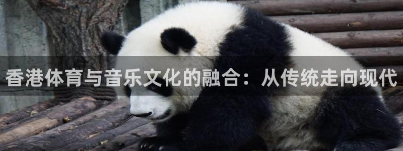 球速体育app：香港体育与音乐文化的融合：从传统走向现代